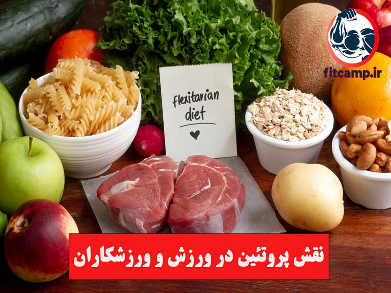 انواع پروتئین