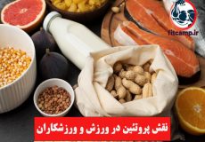 نقش پروتئین در ورزش و ورزشکاران