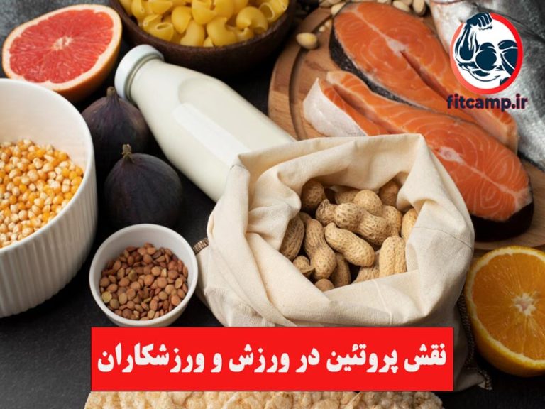 نقش پروتئین در ورزش و ورزشکاران