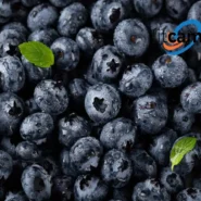 خواص بلوبری