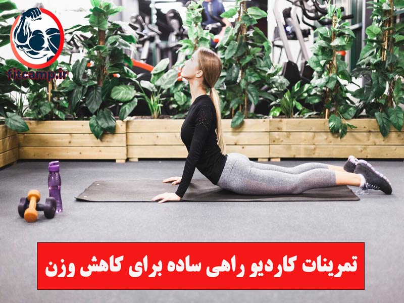 بهترین تمرینات کاردیو برای چربی سوزی