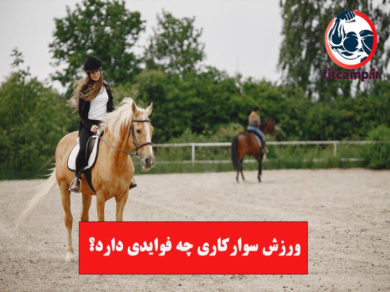 چگونه اسب سواری کنیم؟ | آموزش چند تکنیک ساده برای سوارکاری